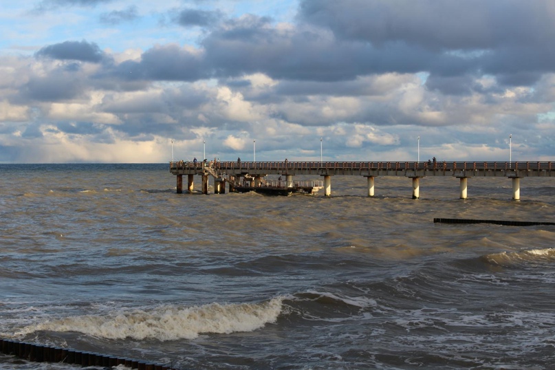 Марина Москвина | Калининград