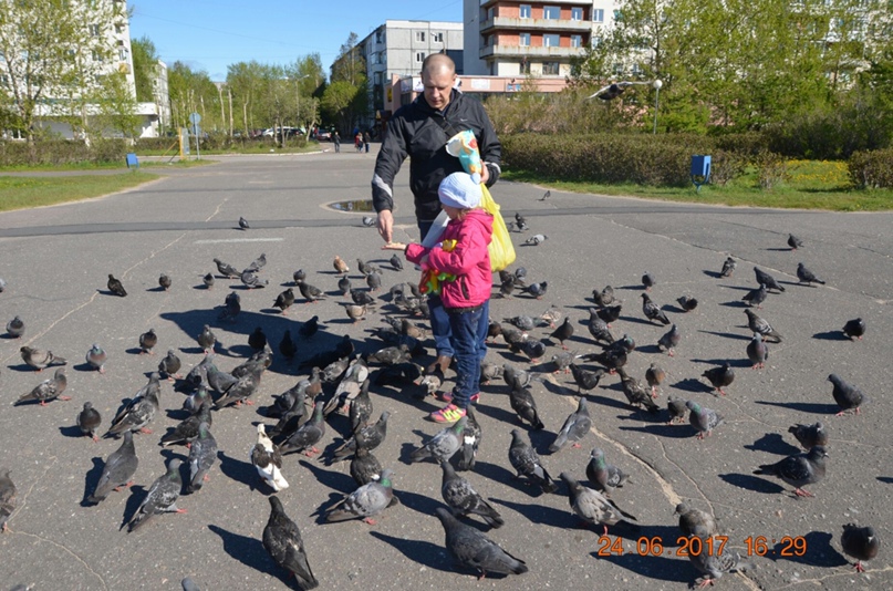 Денис Шубин | Северодвинск