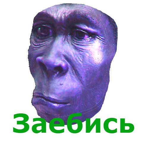 Никита Мамичев | Москва