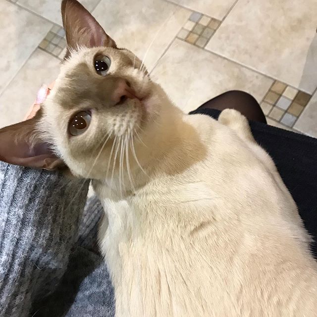 Юлия Белякова | Санкт-Петербург