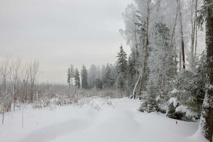 Максим Синицын | Лобня