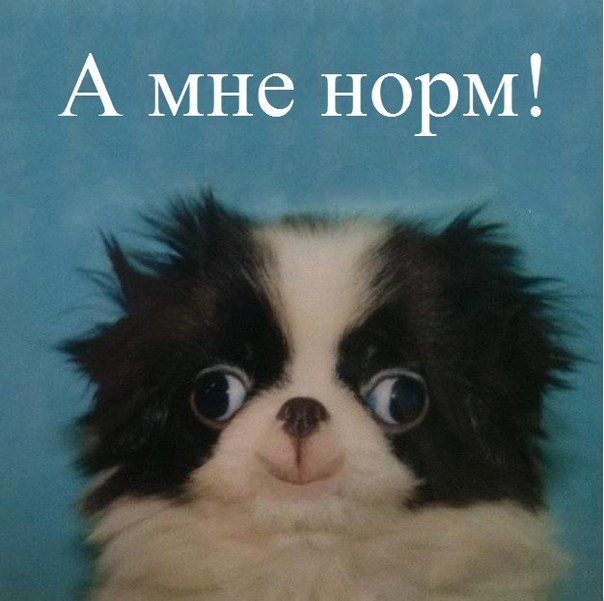 Женя Голубев | Волгоград