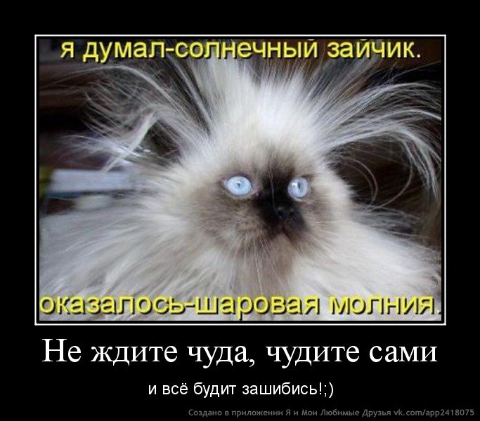 Женя Петрова | Звенигово