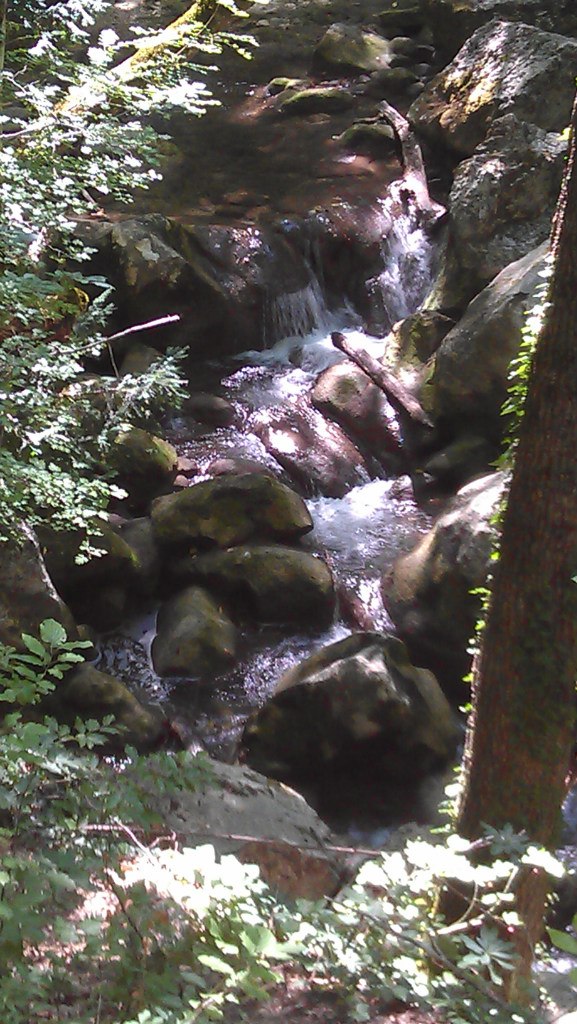 Дима Кунаков | Санкт-Петербург