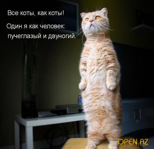 Александра Логинова | Лысьва