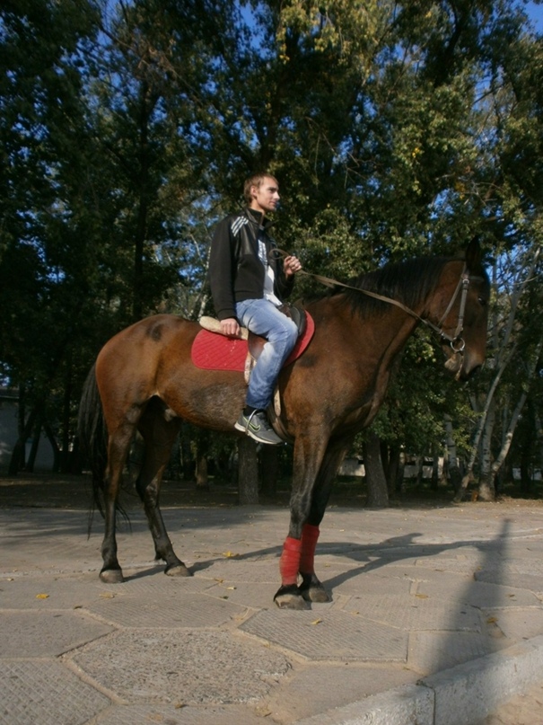 Роман Орлов ¯̿ ̿|̿ ̿ |   | |͇̿ ͇̿ ͇̿_ | Днепр (Днепропетровск)