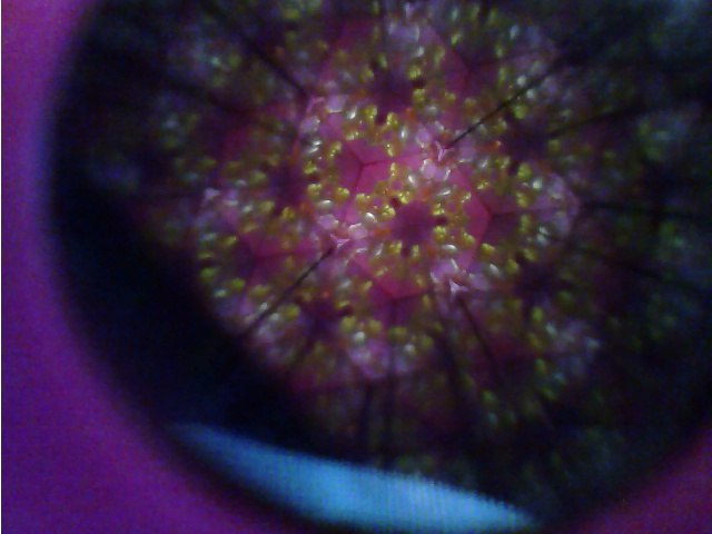 Иван Никифоров | Ottawa