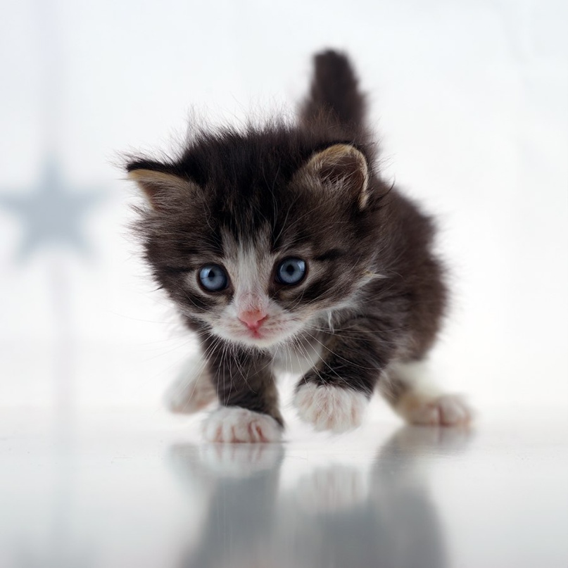 Катечка Залюбовская | Санкт-Петербург