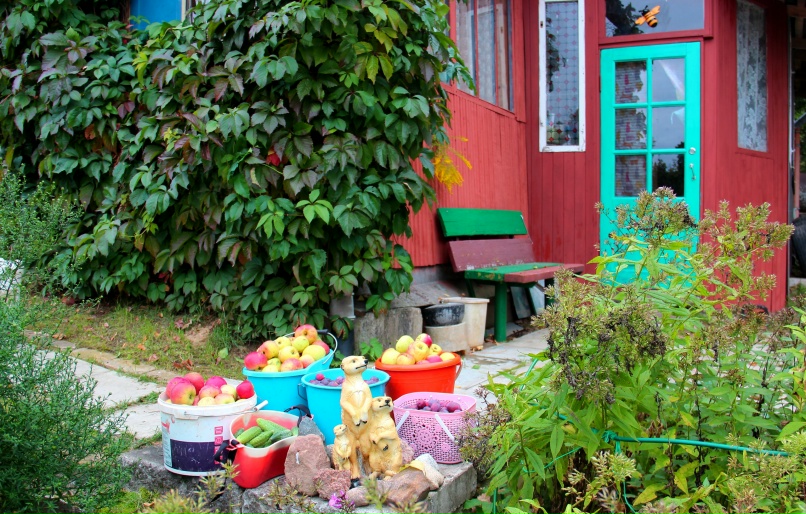 Василий Осипов | Псков