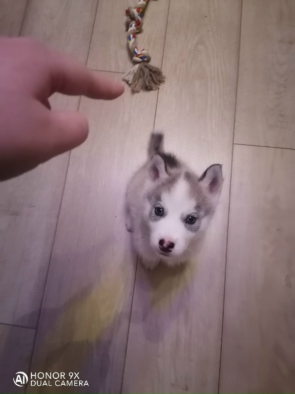 Алёна Дятлова | Рязань