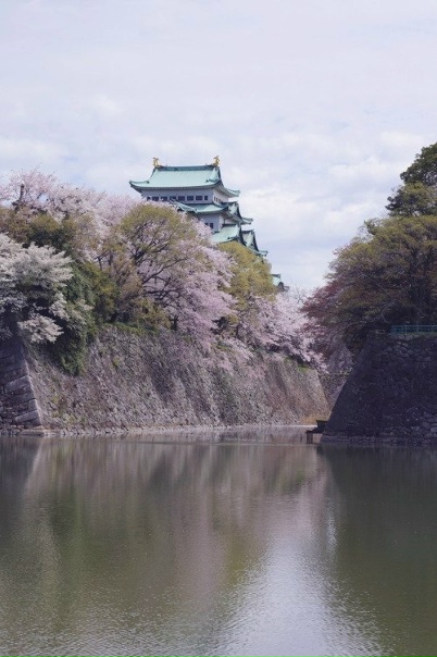 Привет, если тебе интересна культура стран Азии и...