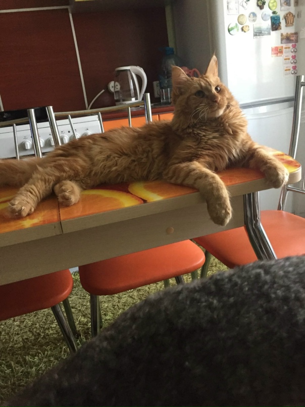 Маришка Маринина | Вологда