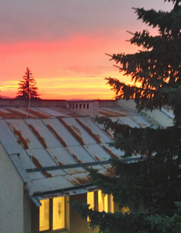 Светлана Булычева | Москва