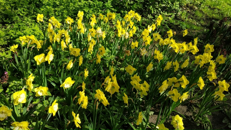 Егор Смаков |