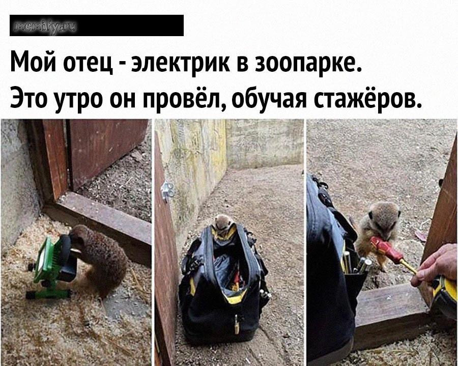 Утром папа сказал Утром папа сказал