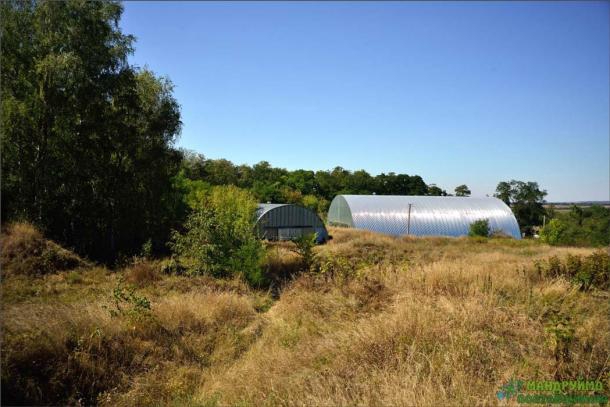 Удивительные знания каменного века, обнаруженные на браслете из кости мамонта, изображение №7