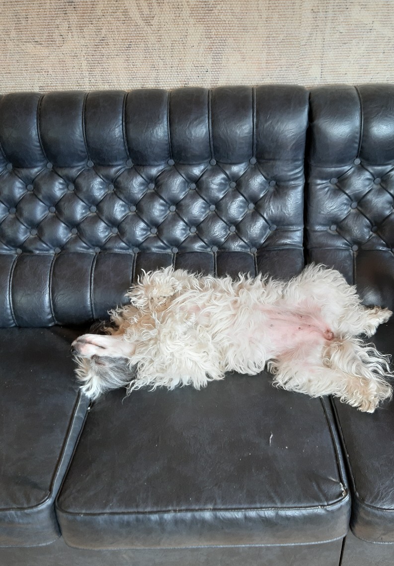 Светлана Ерохина | Санкт-Петербург