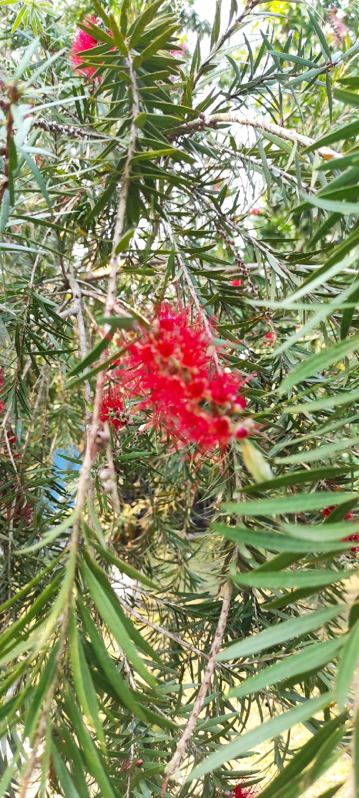 Юлия Болотова | Калуга