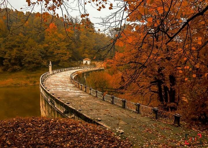 Осень в стамбуле Осень в стамбуле