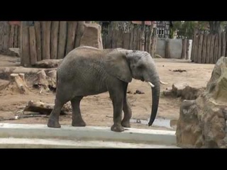 Bergzoo Halle/Saale