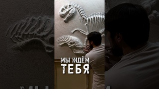 Чего и кого ждем???