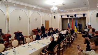 Начало переговоров России и Украины — видео