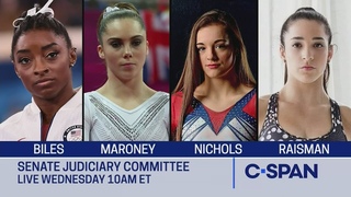 Simone Biles and Other Olympians Testify on Larry Nassar Sexual Assault Investigation