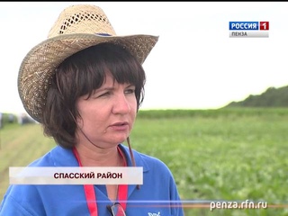 «Полевой город» в Пензенской области