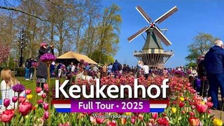Keukenhof Gardens Springtime Celebration 4K