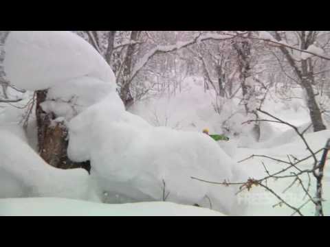Deep Powder Pillow Lines with the. Nimbus