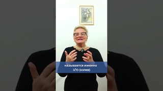Значение слова “собака“ в иврите #shorts