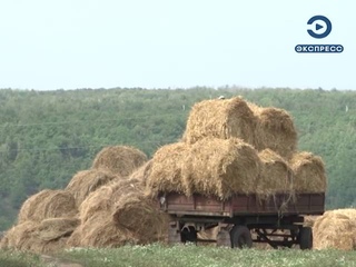 Белозерцев посетил ферму и соццентр в Неверкинском районе