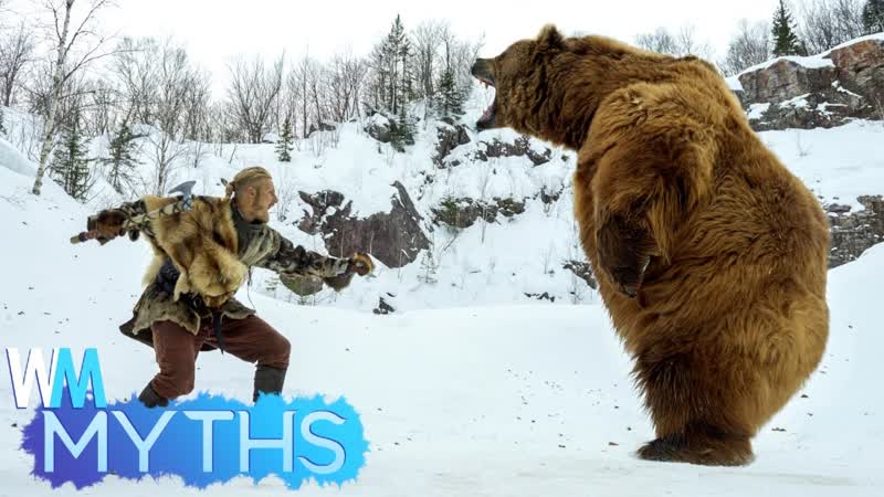 Top 5 Dangerous Animal Attack