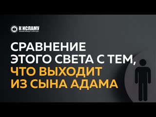 Сравнение этого света с тем, что выходит из сына Адама | К Исламу