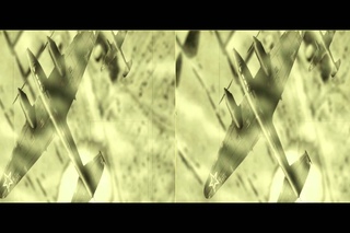 Тизер 1 Храброе сердце 3D