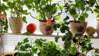 ОТЛИЧНЫЙ СПОСОБ ЗАКРЫТЬ ОКНА ЗАМЕНА ШТОРАМ ПОЛЕЗНЫЙ СОВЕТ /ОКНО С ЮЖНОЙ СТОРОНЫ@obovsemsmarusya