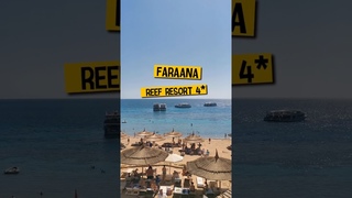 ✈️ Летим в Египет в четверку 👍🏾 Faraana Reef Resort #отдыхвегипте #travelvlog