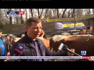 Ляшко привів корів під Кабмін