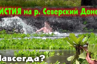 Пистия атакует
