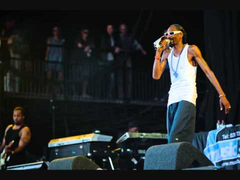 Chiddy Bang, Chamillionaire, Snoop Dogg Tinie Tempah Pass Out ( Rawr