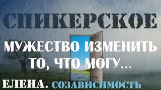 Спикерское Елена.  Созависимость. Мать химически зависимого сына.